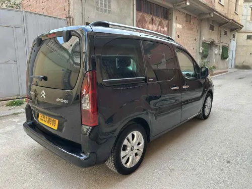 Citroen Berlingo 2009 Berlingo