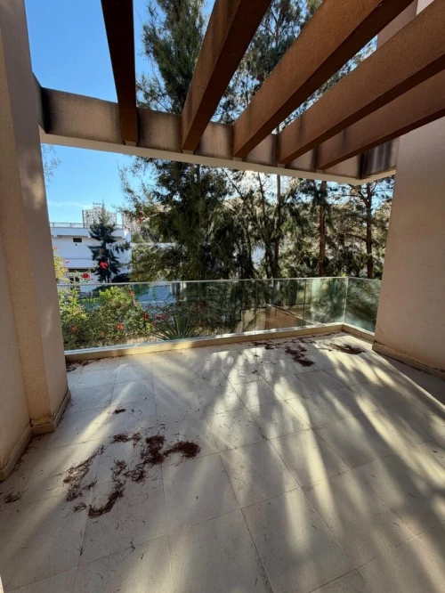 Location Appartement F3 Alger Said hamdine