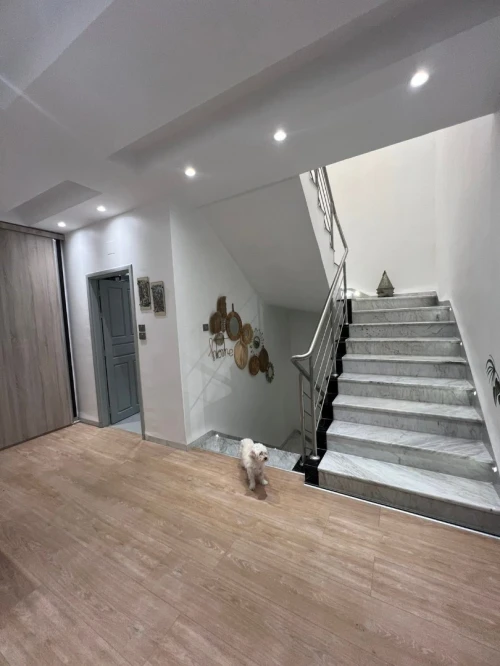 Vente Villa Alger Draria