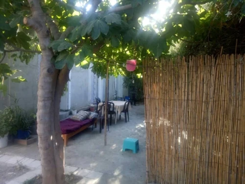 Vente Terrain Blida Bougara