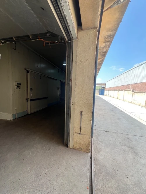 Vente Hangar - Usine Alger Oued smar