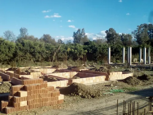 Vente Terrain Blida Ben khellil