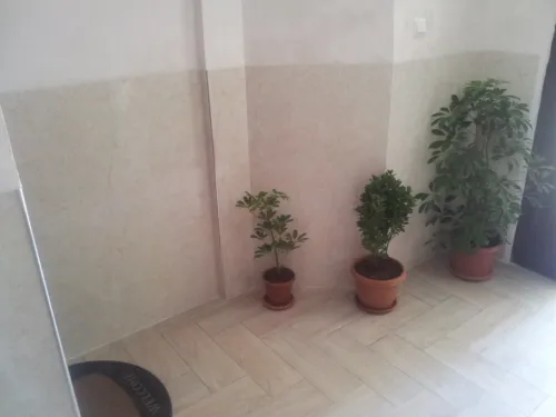 Location Appartement F3 Alger Cheraga