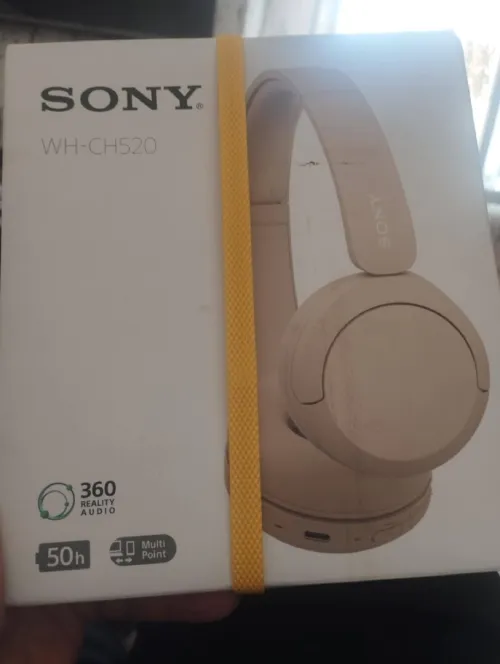 Sony WH-CH520