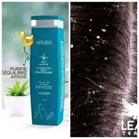 Areva