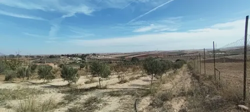 Vente Terrain Agricole Aïn Témouchent Ouled kihal
