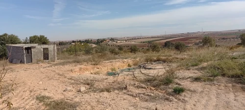 Vente Terrain Agricole Aïn Témouchent Ouled kihal
