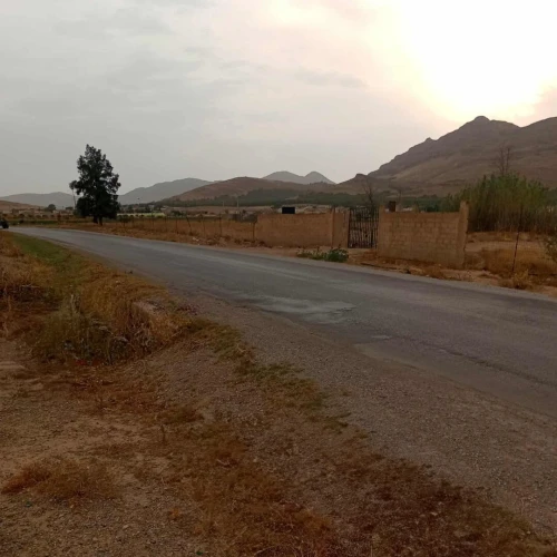 Location Terrain Agricole Oum El Bouaghi Ain kercha