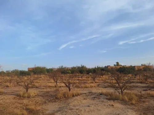 Vente El Bayadh El bayadh