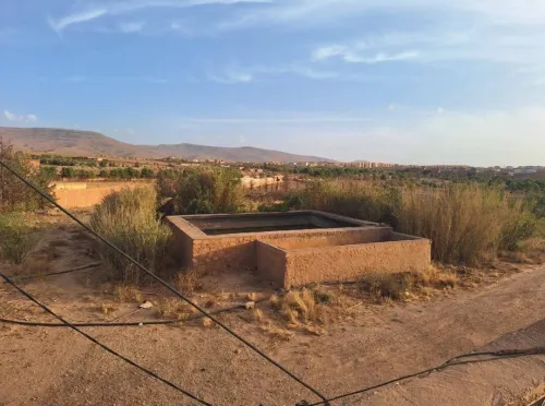 Vente Terrain Agricole El Bayadh El bayadh