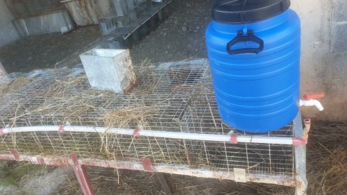 Batterie cage de lapin