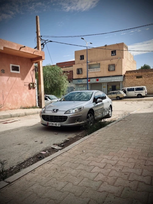 Peugeot 407 2010 407