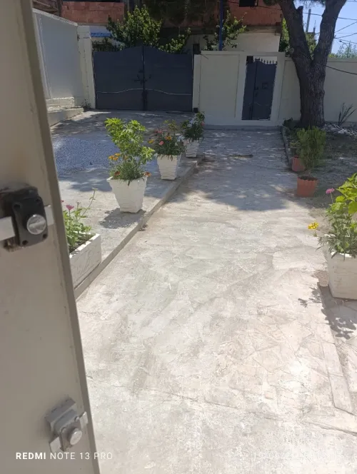 Location Appartement F3 Skikda Skikda