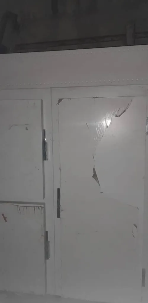 Frigo 