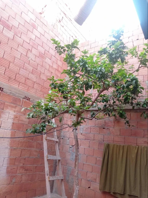 Vente Villa Oran Bousfer
