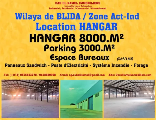 Location Hangar Blida Blida