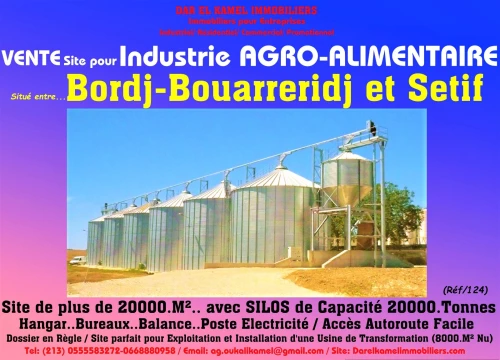 Vente Hangar Sétif Setif