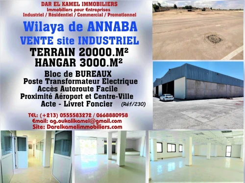 Vente Hangar Annaba Annaba