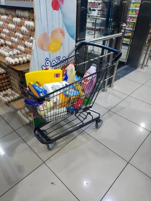 CHARIOT DE COURSE POUR SUPERMARCHÉ 