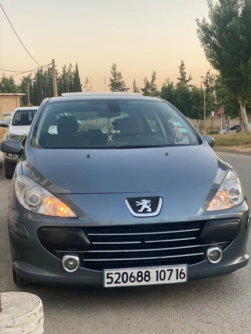 Peugeot 307 2007 Oxygo