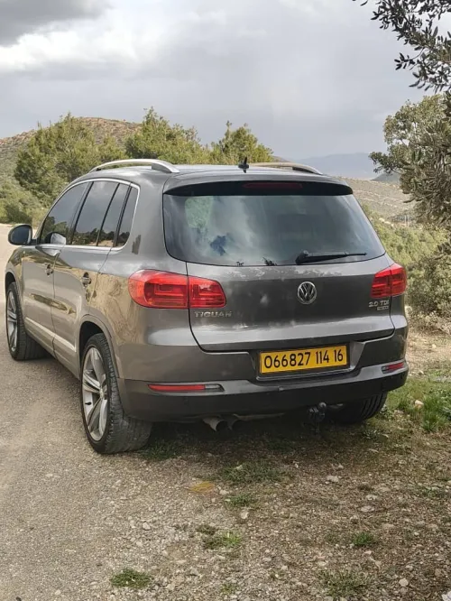 Volkswagen Tiguan 2014 Cup