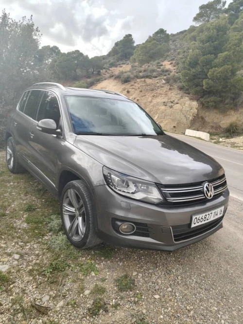 Volkswagen Tiguan 2014 Cup