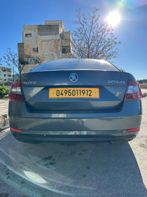 Skoda Octavia 2019 Octavia