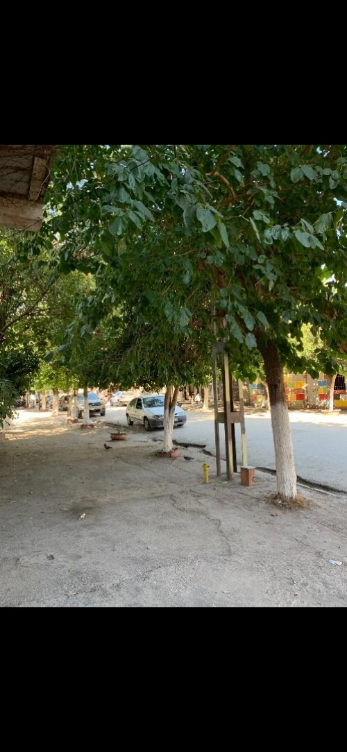 Location Local Boumerdès Thenia