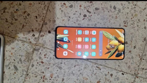 Poco Poco X6 Pro