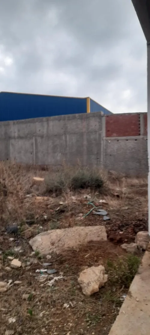 Vente Terrain Blida Blida