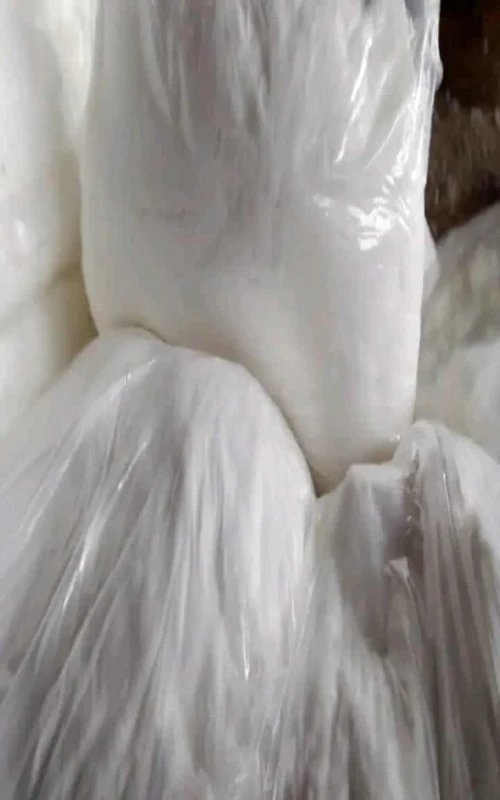 Bicarbonate de sodium