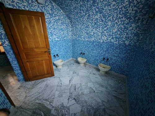 Location Villa Alger El biar