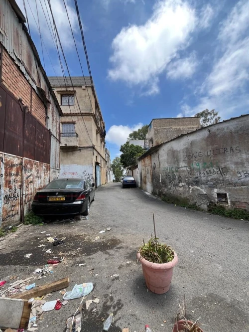 Vente Terrain Alger El biar
