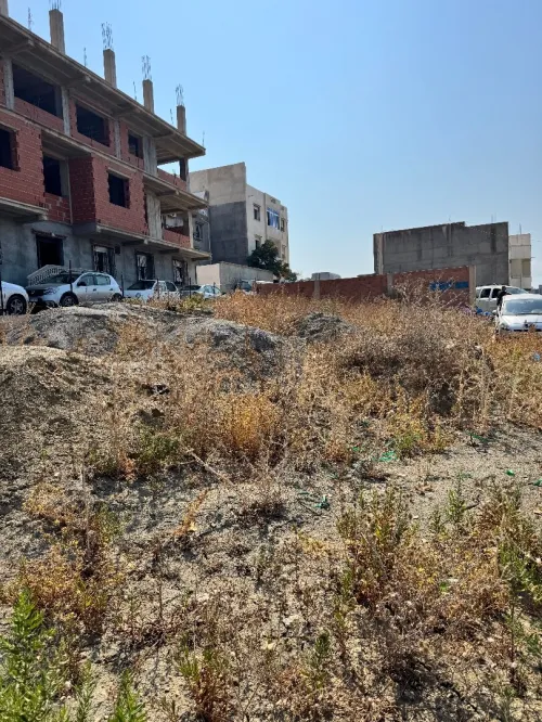 Cherche achat Terrain Boumerdès Dellys