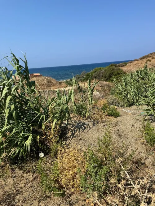 Cherche achat Terrain Boumerdès Dellys
