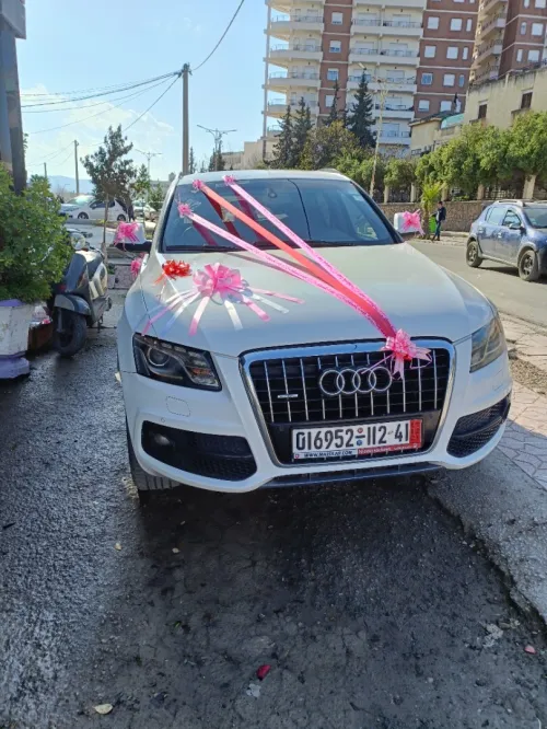 Audi Q5 2012 S lein