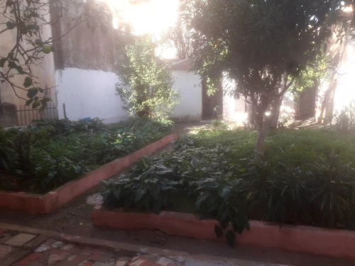 Vente Villa Alger El mouradia