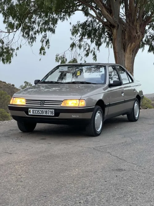 Peugeot 405 1987 BX