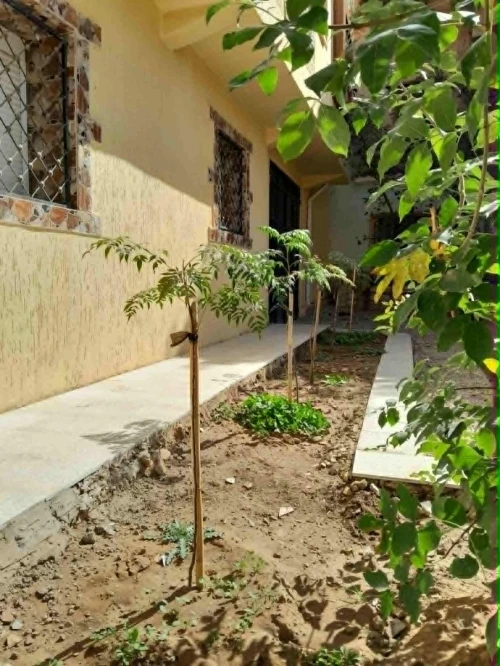 Vente Villa Tissemsilt Tissemsilt