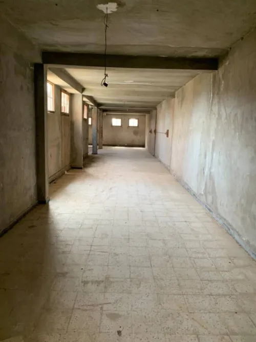 Vente Villa Alger Les eucalyptus