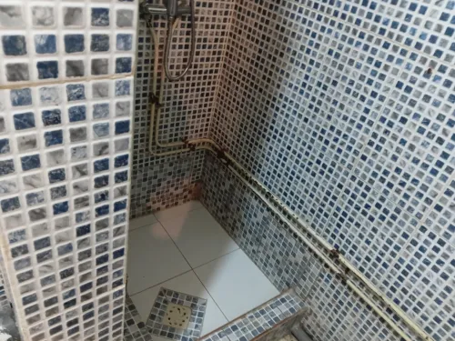 Location Appartement F3 Alger Beni messous