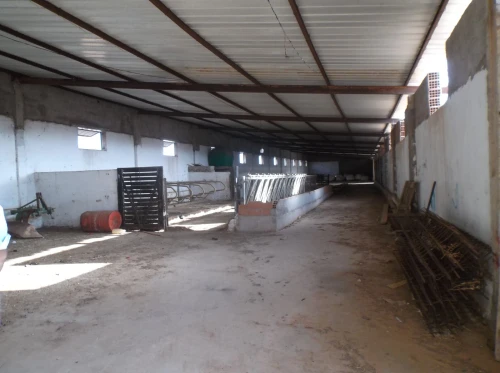 Vente Terrain Oran Ain el turck