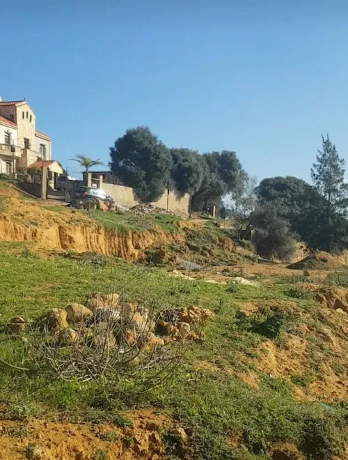 Vente Terrain Tipaza Attatba