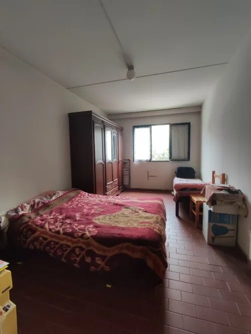 Vente Appartement F3 Alger Dely brahim