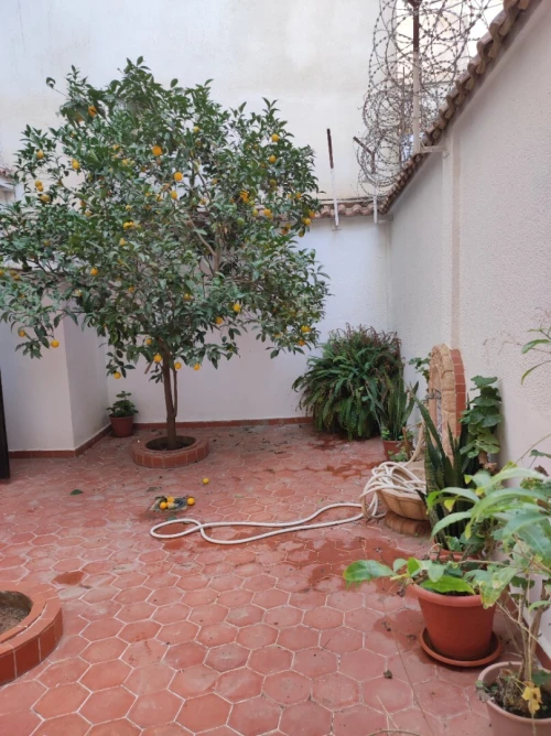 Vente Villa Alger Dely brahim