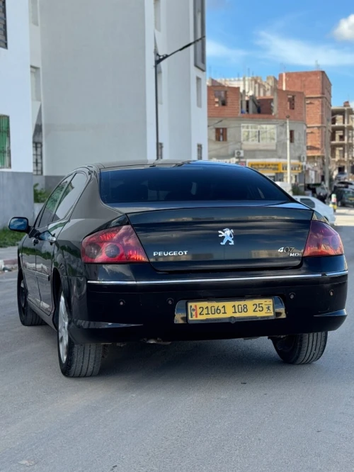 Peugeot 407 2008 407