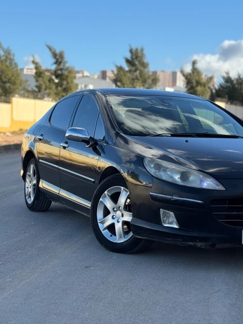 Peugeot 407 2008 407