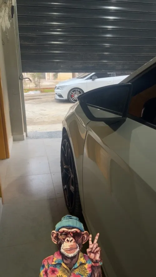 Seat Cupra  2019 Cupra 