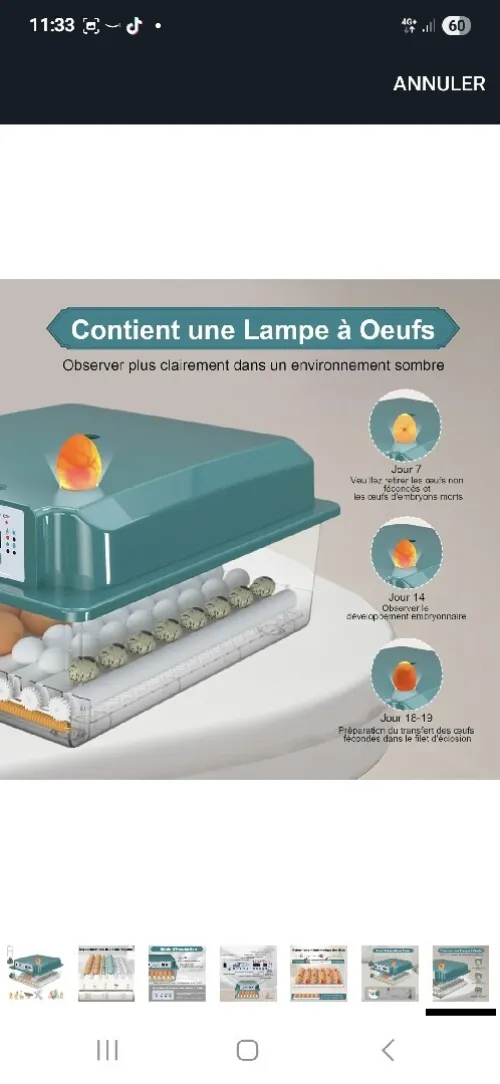 Couveuse حاضنة venu de Belgique