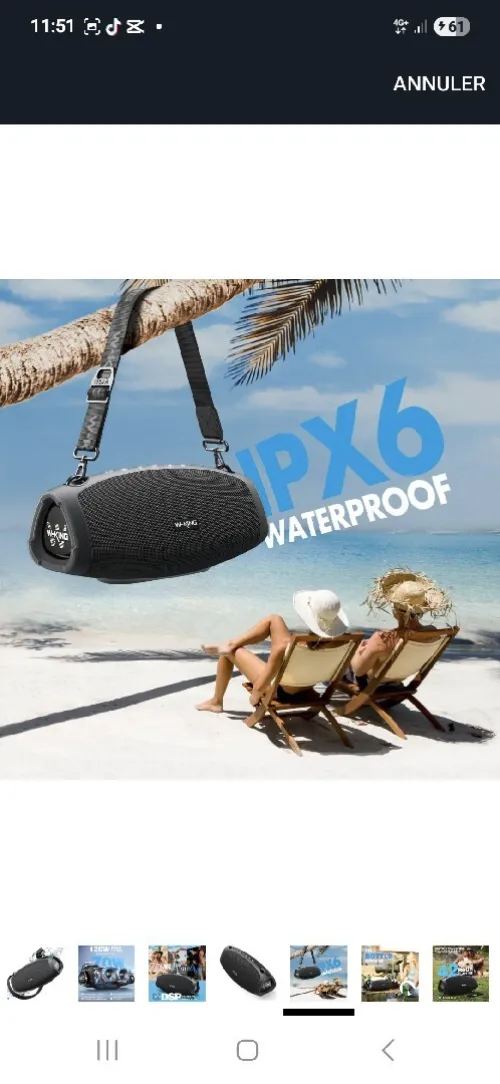 Enceinte Bluetooth Puissante